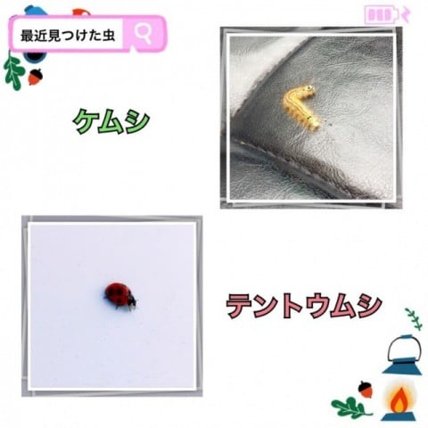 虫たちが過ごしやすい季節になりましたね!