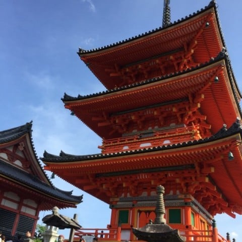 京都での学び