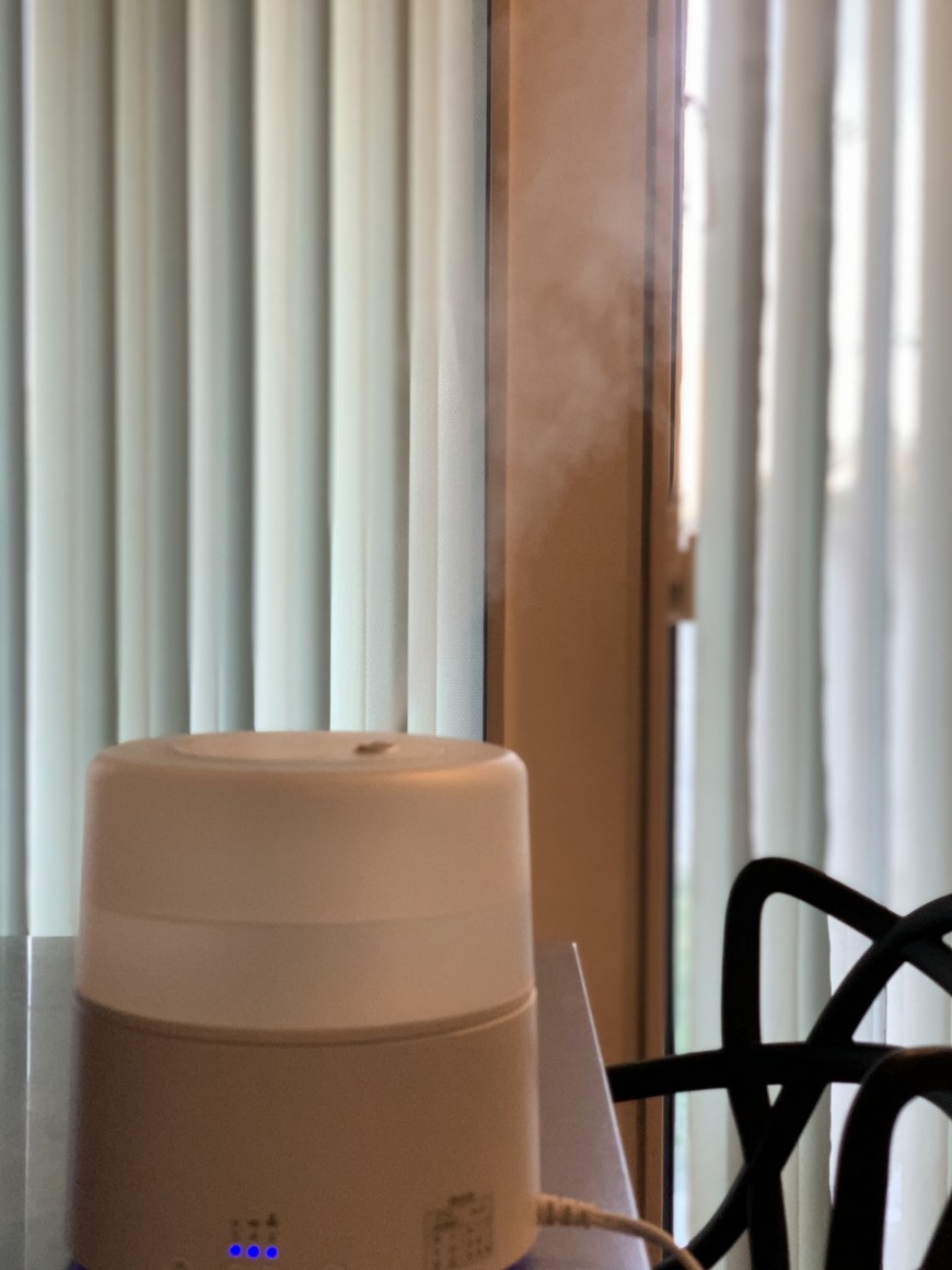 乾燥と脱水