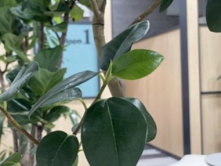 私の日課