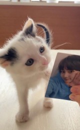 素直！謙虚！感謝！