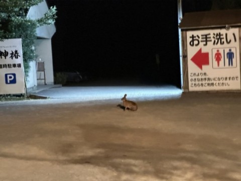 2023年 ご挨拶